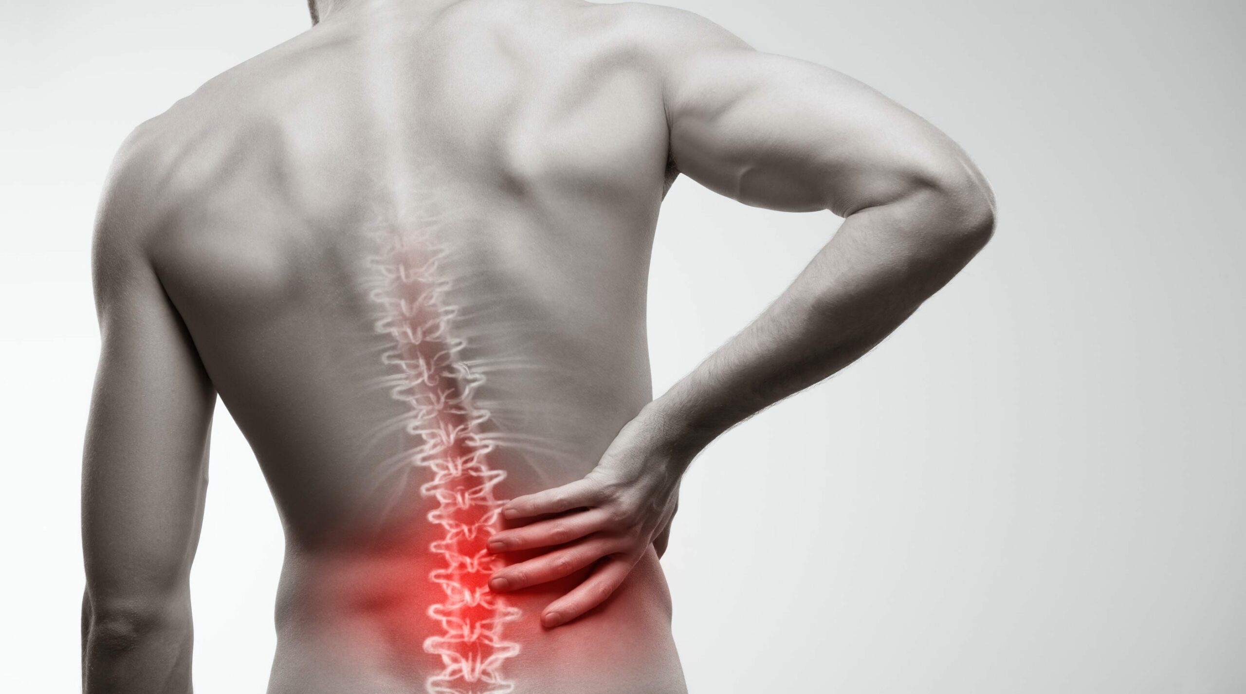 Bulletproof Back: From Pain to Performance