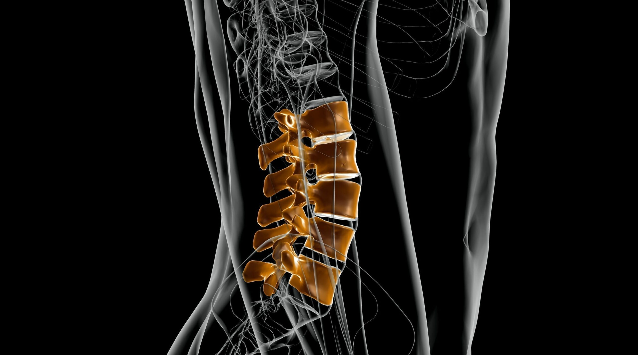 Lateral Lumbar Film Analysis Reliability CBP®NP#3, A Normal Sagittal Spinal Configuration CBP®NP#4