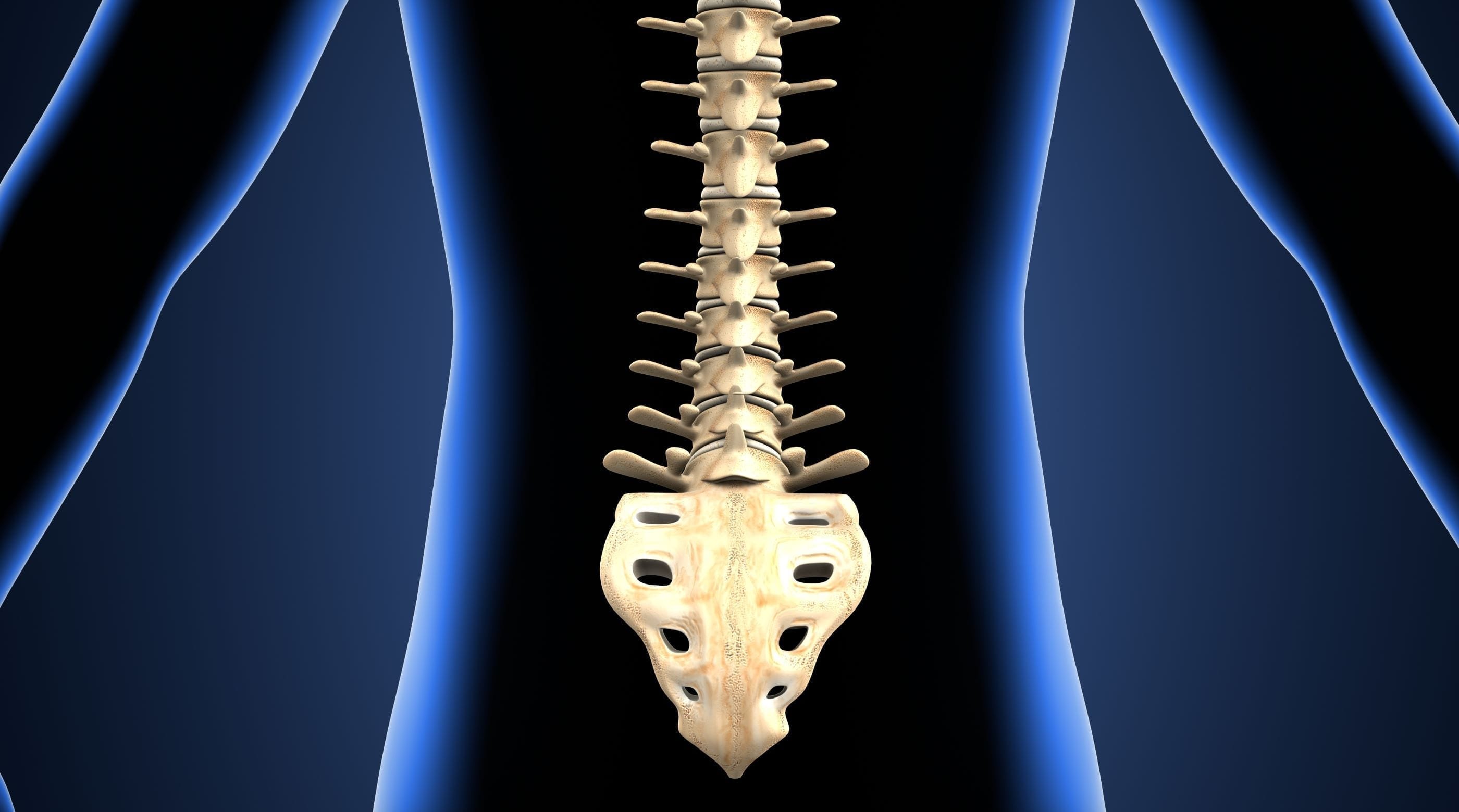 Structural Rehabilitation of the Lumbar Spine (Module 5)