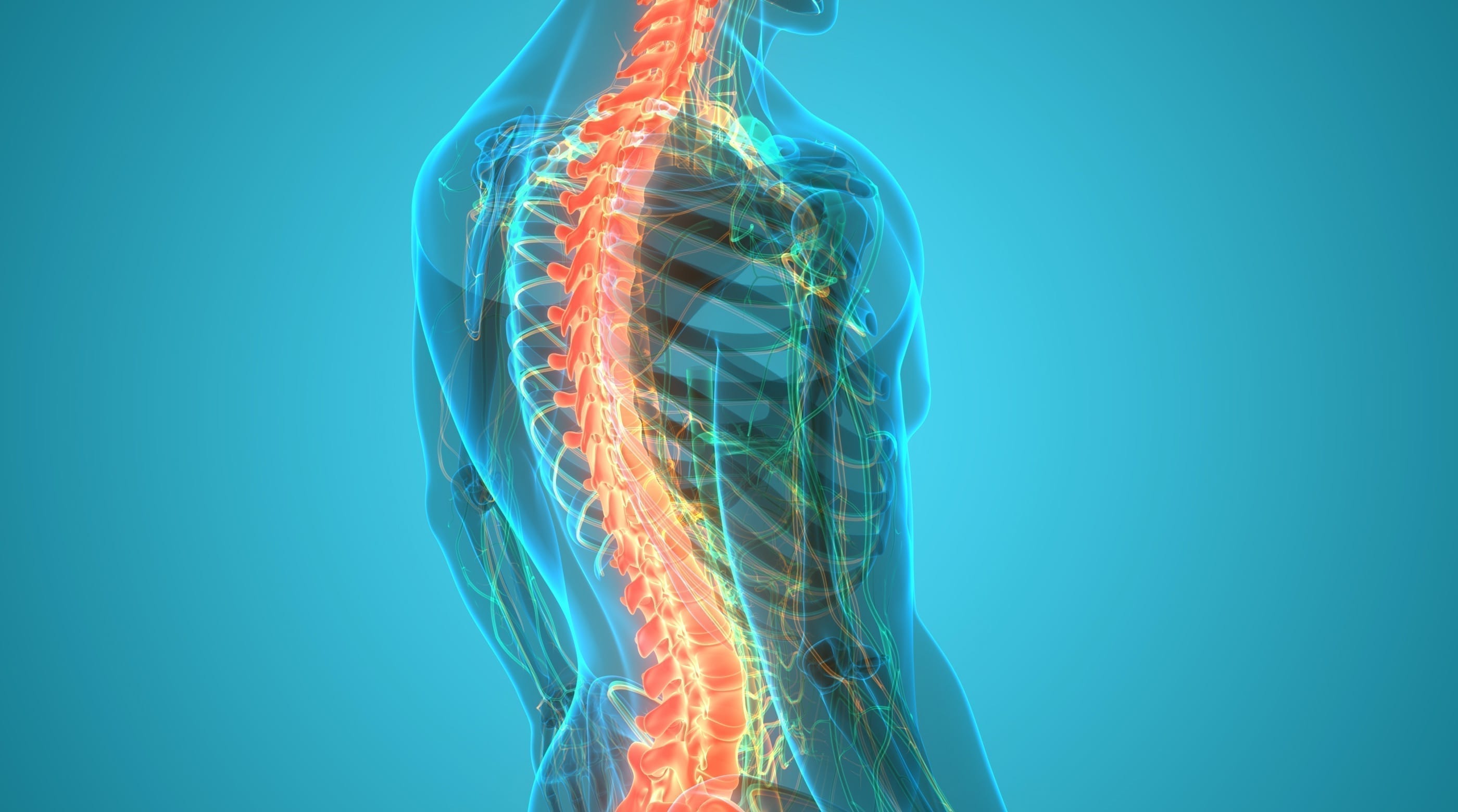 CBP® Approach to Posture Correction