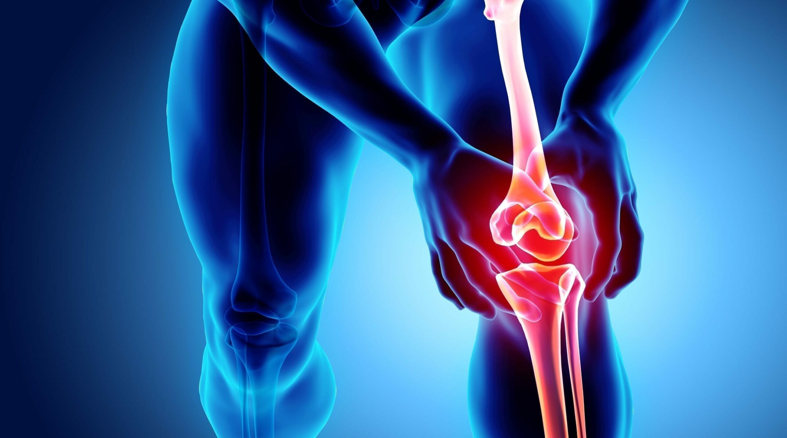 Advanced Topics in the Examination, Evaluation and Treatment of the Knee